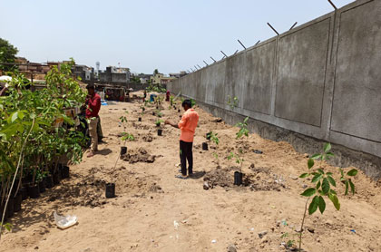 Tree Plantation - At Kholwad main SPS